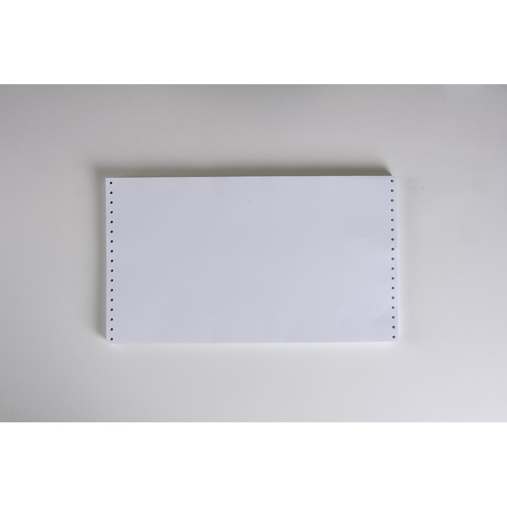 12 x 8-1/2 (W x H) Continuous 18# Computer Paper, Blank (Carton of 2800)